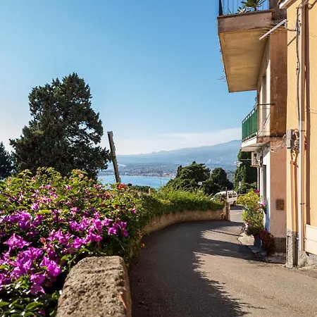 Flower * Taormina